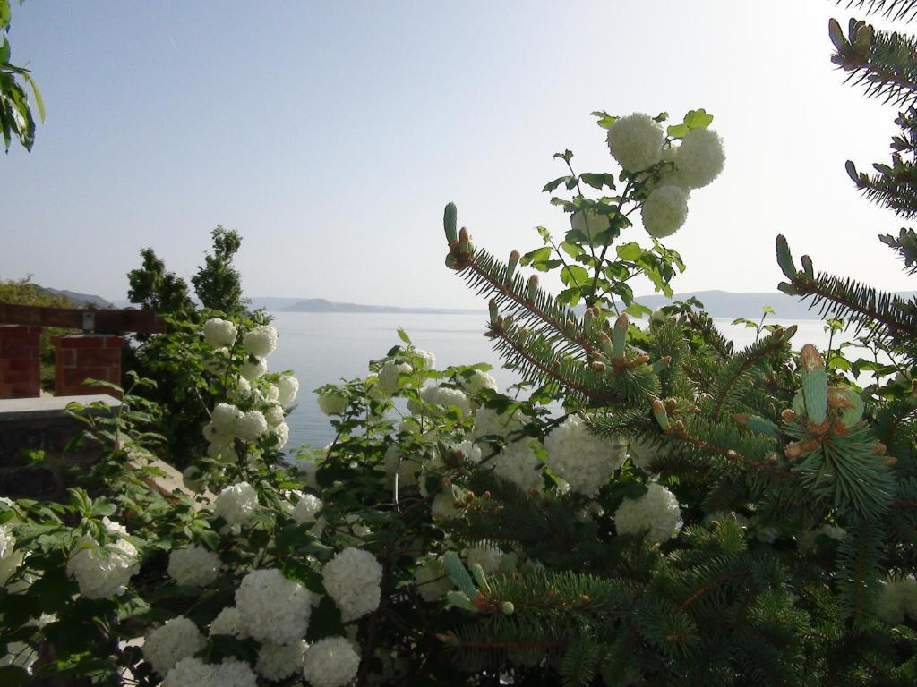 Villa Arca Adriatica Sveti Juraj Εξωτερικό φωτογραφία